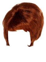 people & Wig free transparent png image.