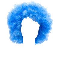 people & Wig free transparent png image.