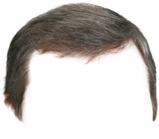 people & wig free transparent png image.