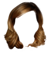 people & Wig free transparent png image.