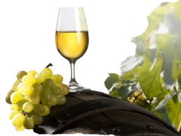 food & wine free transparent png image.