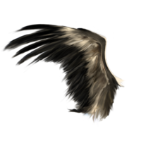 fantasy & Wings free transparent png image.