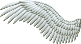 fantasy & Wings free transparent png image.