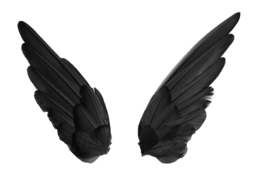 fantasy & wings free transparent png image.