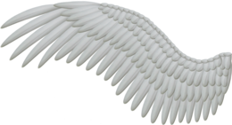 fantasy & Wings free transparent png image.