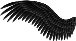 fantasy & wings free transparent png image.