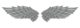 fantasy & wings free transparent png image.