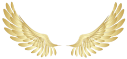 fantasy & Wings free transparent png image.