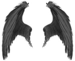 fantasy & Wings free transparent png image.