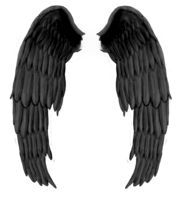 fantasy & Wings free transparent png image.