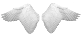 fantasy & Wings free transparent png image.