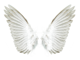 fantasy & Wings free transparent png image.