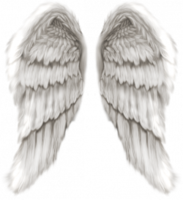 fantasy & Wings free transparent png image.