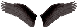 fantasy & wings free transparent png image.