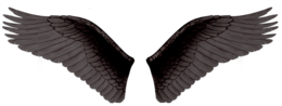 fantasy & wings free transparent png image.