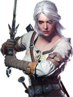 heroes&Witcher png image.