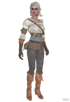 heroes & Witcher free transparent png image.