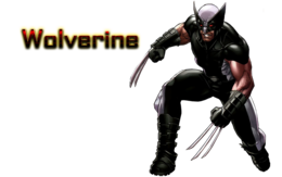 fantasy & Wolverine free transparent png image.