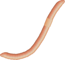 insects & Worms free transparent png image.