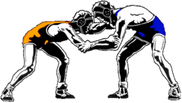 sport & wrestling free transparent png image.