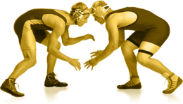 sport & wrestling free transparent png image.