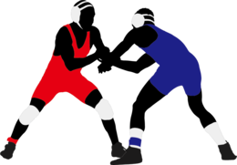 sport & wrestling free transparent png image.