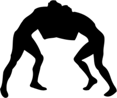 sport & wrestling free transparent png image.