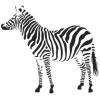 animals & Zebra free transparent png image.